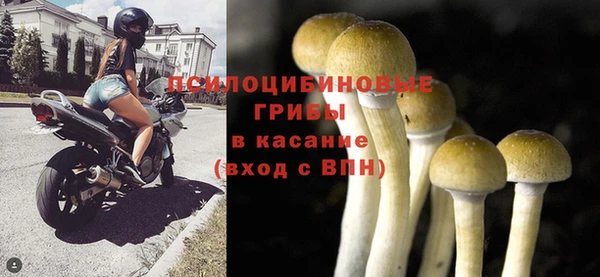 мескалин Армянск